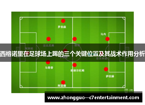 西格诺里在足球场上踢的三个关键位置及其战术作用分析