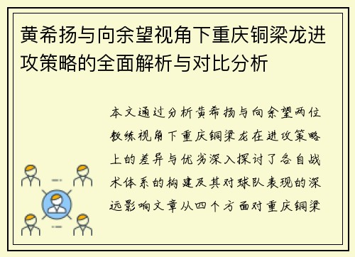 黄希扬与向余望视角下重庆铜梁龙进攻策略的全面解析与对比分析