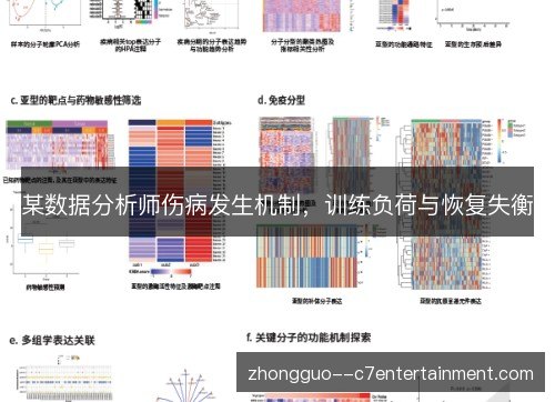 某数据分析师伤病发生机制，训练负荷与恢复失衡